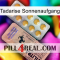 Tadarise Sunrise 41